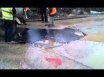 Новые Технологии в России Новые Технологии в России