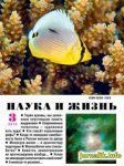 Занимательная Наука Онлайн Скачать Бесплатно Занимательная Наука Онлайн Скачать Бесплатно